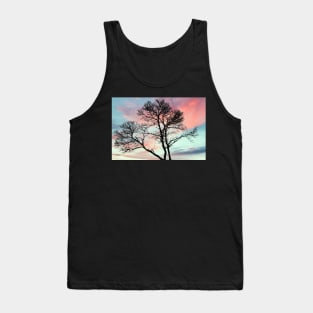 Beautiful tree with a craw at sunset Tank Top